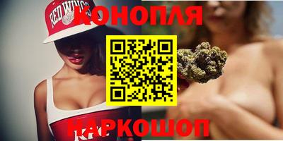 сатива Гатчина