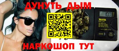 сатива Гатчина