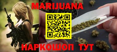 сатива Гатчина