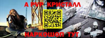 спиды Гай