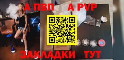 спиды Гай