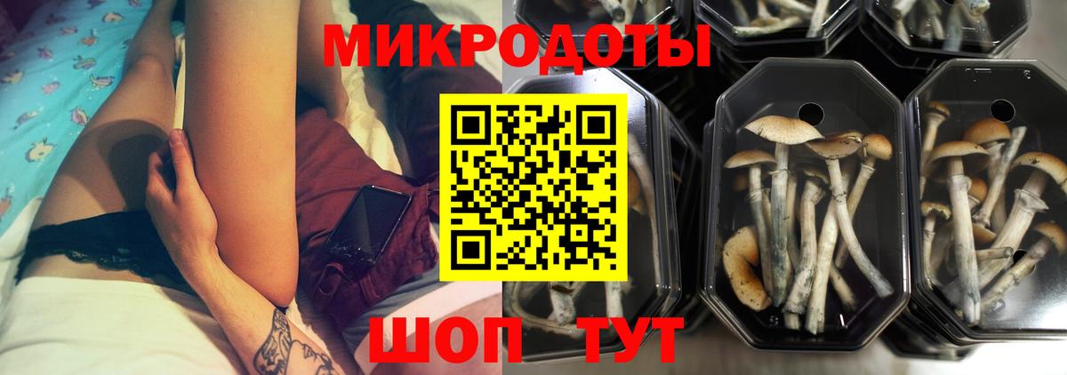 Ялта  закладка  Вход с VPN  Псилоцибиновые грибы Magic Shrooms 