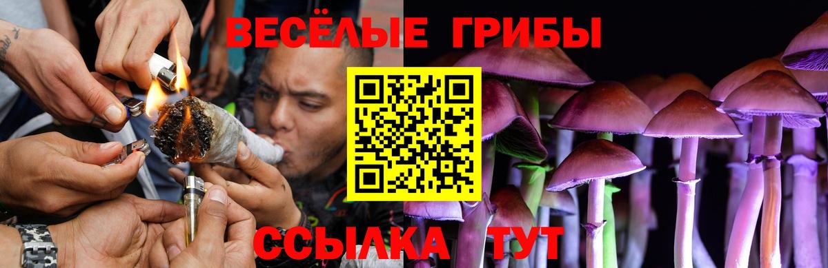 Псилоцибиновые грибы Psilocybine cubensis Ялта